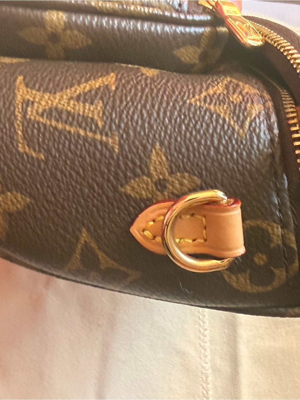 Louis Vuitton Brown Monogram Mini Bum Bag - Picture 12 of 13